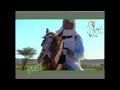 ازكير ناقلك يا نجع