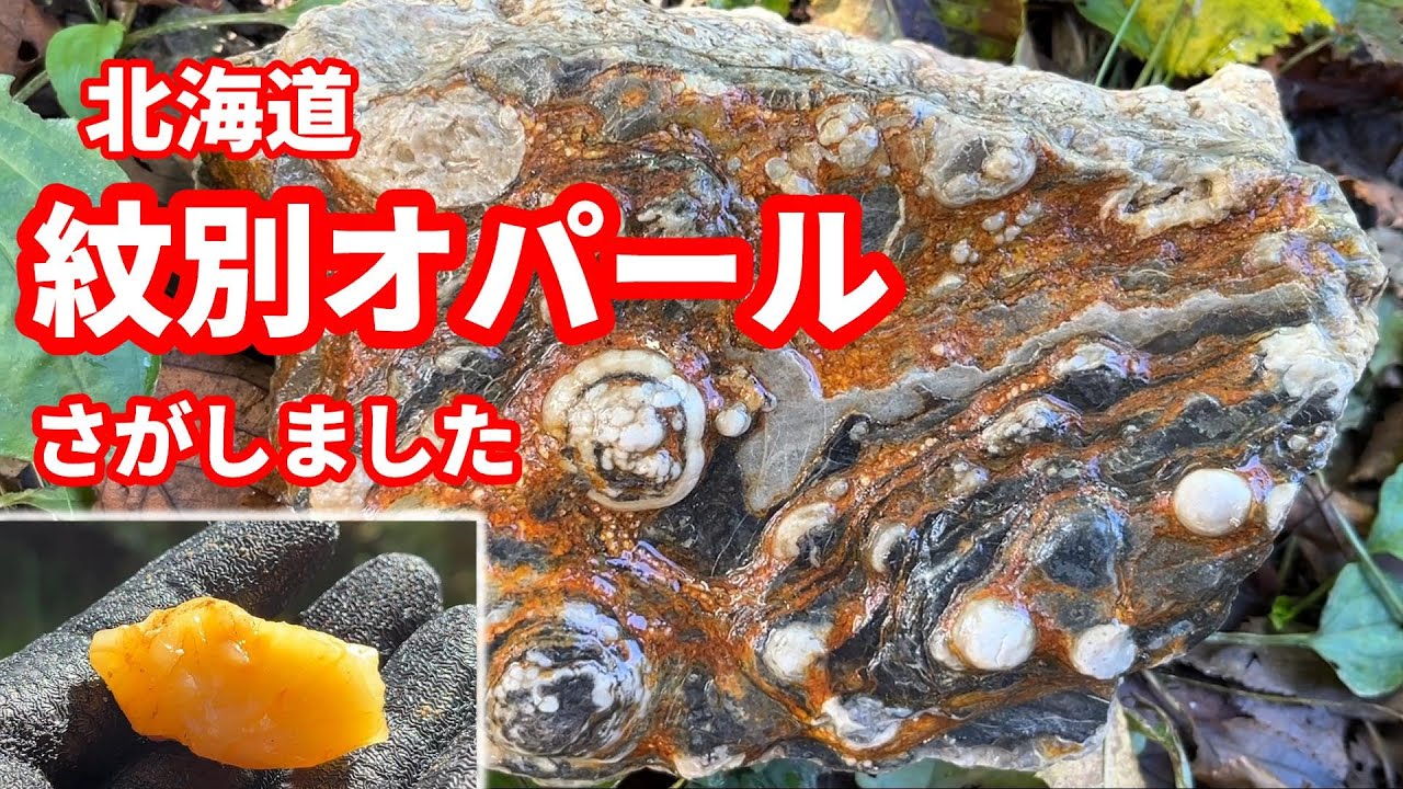 北海道幌満かんらん岩を見に行ったらすごかった前編 - YouTube
