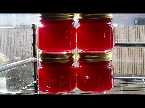 MILD JALAPENO PRICKLY PEAR PEPPER JELLY