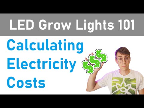 LED Grow Lights 101: Calculating Electricity Costs/Efficiency (Episode 1)