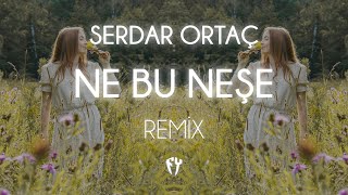 Serdar Ortaç - Ne Bu Neşe ( Fatih Yılmaz Remix )