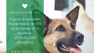 Especializarte para encontrar trabajo como auxiliar de clínica veterinaria o ATV.