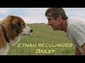 A dogs purpose  ethan recognizes bailey