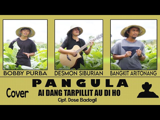 Ai Dang Tarpillit Au Di Ho - Cipt. Dose Badogil (PANGULA Cover) class=