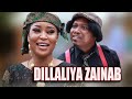 Dillaliya zainab official music ft zainab sambisa and yamu baba