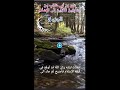 ع ل ى ب ن أ ب ي ط ال ب م ن الس اب ق ين ال أ و ل ين إ ل ى ال إ س ل ام الجزء 5 ع ل ى ب ن أ ب ي ط ال ب م ن الس اب ق ين ال أ و ل ين إ ل ى ال إ س ل ام الجزء 5