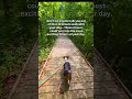 30 mins, 5 hours. What's the difference? #hikingwithdogs #hiking #dogadventures #doglife #dogwalk