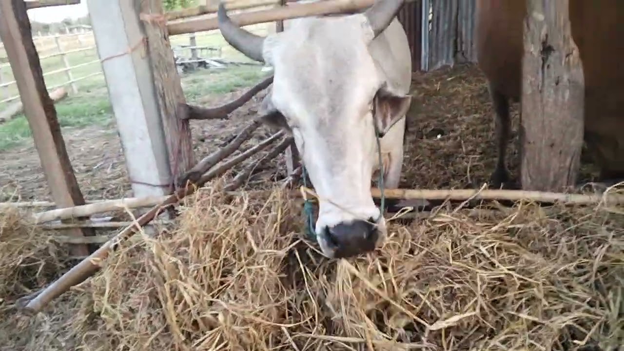 5 มีนาคม ค.ศ. 2026