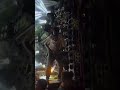 haridwar me aagaya dj kasana (2024)#shorts #ytshorts #viralshorts #djkasanariatal