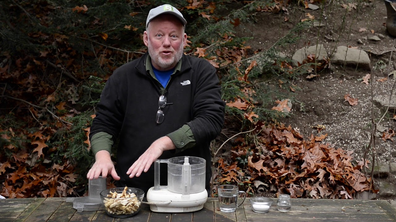 In the Garden Insulating a fig tree, harvesting and grinding