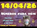 Palpite dia 14 jogo do bicho #jogodobichoonline #horse