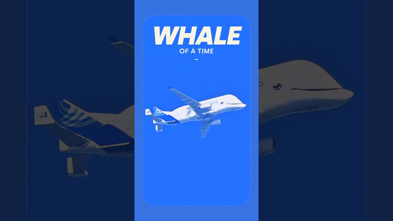 Beluga low over Manchester
