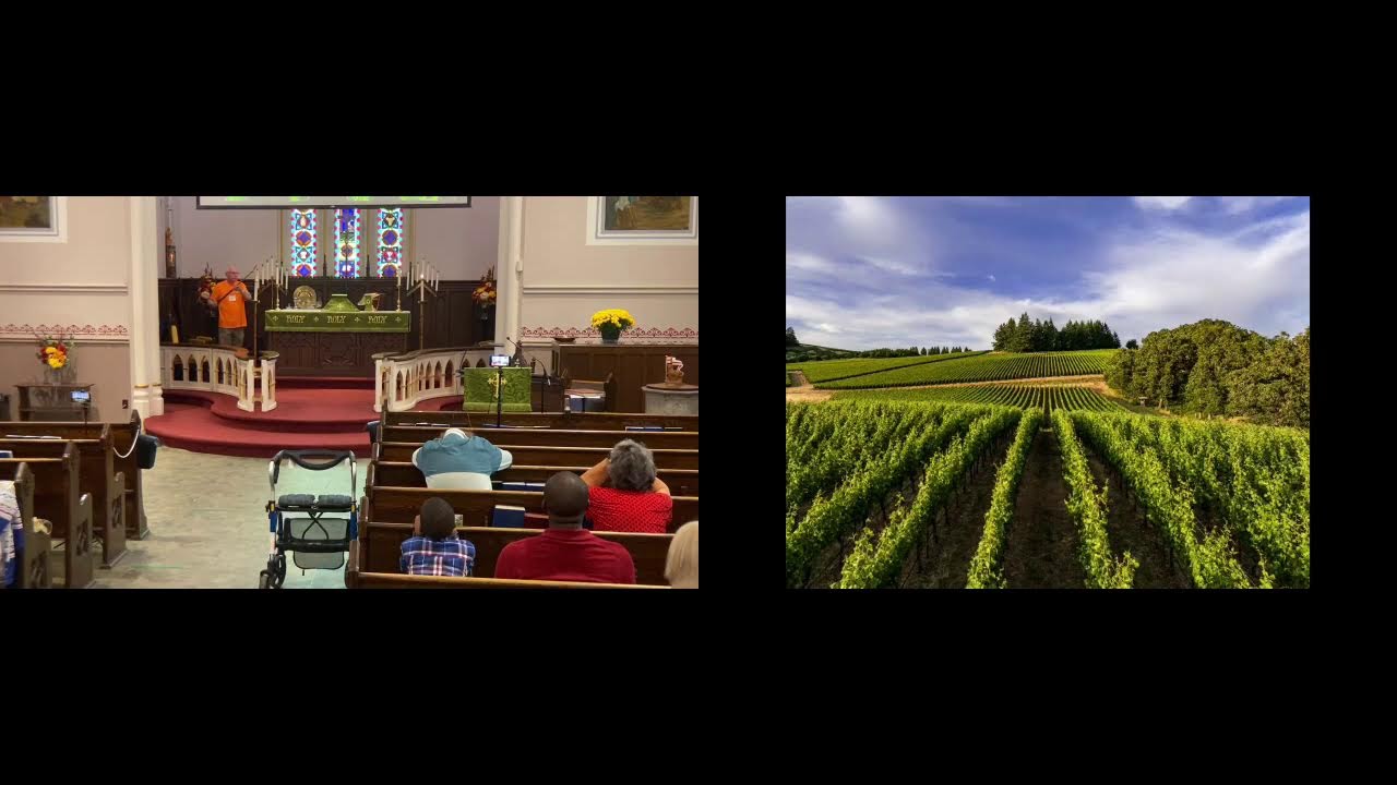 Seventeenth Sunday after Pentecost, September 20, 2026