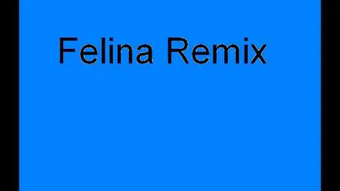 *Felina Remix - Ivy Queen, Hector y Tito, Wisin y ...