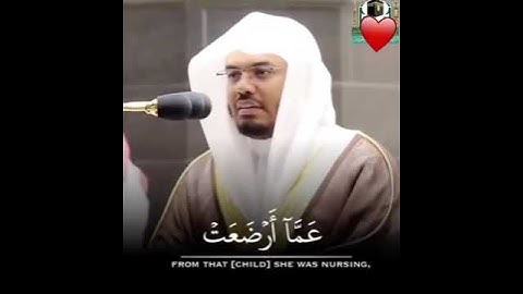 سورة الحج #ياسر الدوسري  وترئ الناس سكرئ ماهم بسكرى.# حالات واتس اب