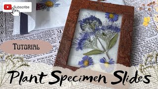 JUNKJOURNAL✤『レッスンnote』 Junk Journal Tutorial - Vintage Botanical Specimen Slides