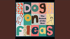 All Tracks Dog On Fleas Youtube All Tracks Dog On Fleas Youtube