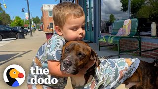 Dad Really Didn't Want To Adopt This Foster Dog... | The Dodo