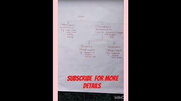 Variable and Attributes