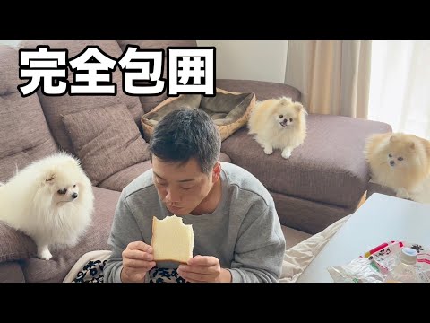まるでオヤジ狩りに遭ってる気分です
