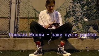 Пошлая Молли - паки Пуси разбор