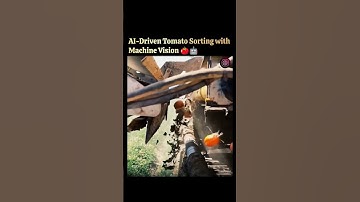 Machine Vision-Powered AI Tomato Sorting 🍅🤖