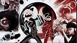 Miraculous Ladybug // You Are The Reason [AMV]