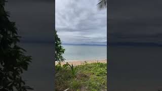 Malolo island shark attack..