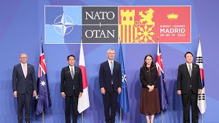 The Road to Washington’s NATO Summit