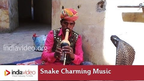 Snake Charming Music - Snake Charmers In Rajasthan | India Video