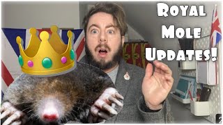 The ‘Royal Mole’ Plot Thickens! Harry & Meghan Latest News!