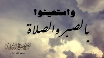 تلاوة من سورة البقرة