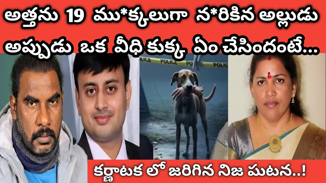🚨 అత్తను 19 ము* క్కలుగా న* రికిన అల్లుడు | అప్పుడు ఒక వీధి కుక్క ఏం చేసిందో తెలిస్తే షాక్ అవుతారు | 
