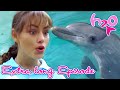 Season 1: Extra Long Episode 16, 17 and 18 | H2O - Just Add Water