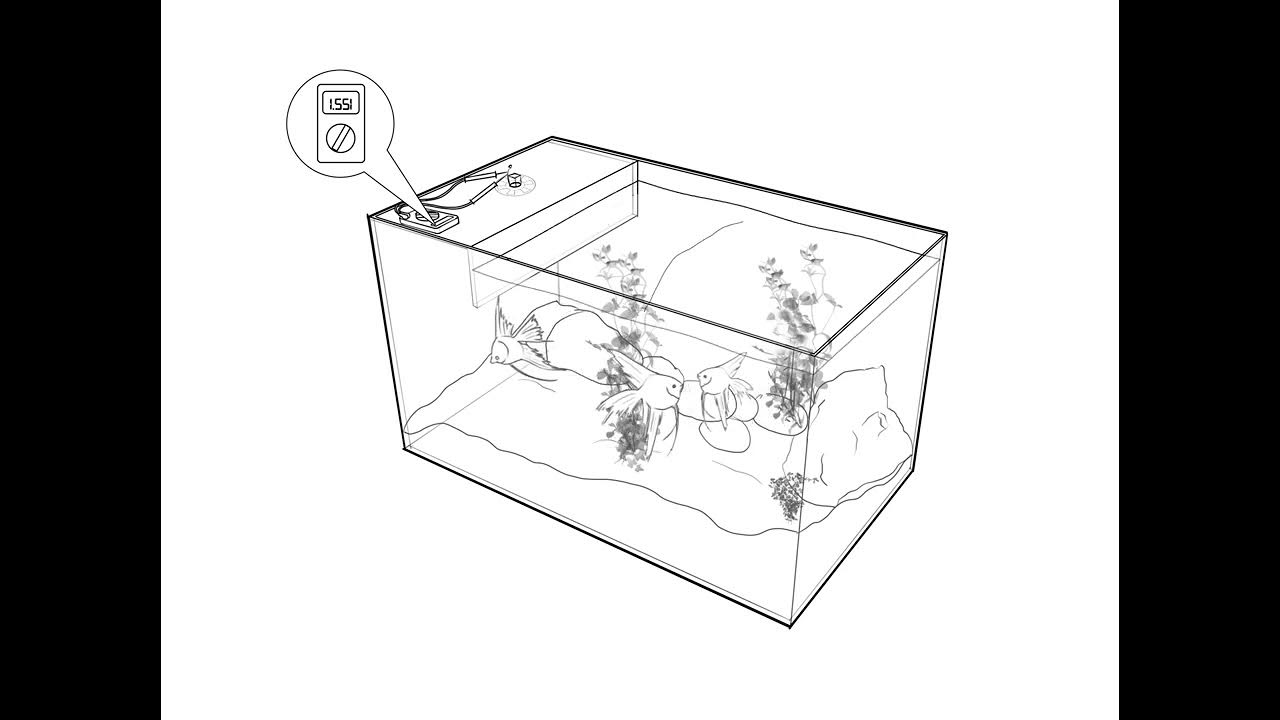 owc-in-fish-tank-youtube