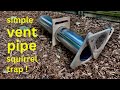 How to Make a ● Vent Pipe Squirrel Trap  (that works!)