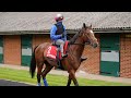 Epsom Gallops Morning: clues ahead of the 2023 Betfred Derby | Racing TV