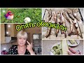 Опять Дожди* Растут Грибы* Опять Обозвали*Плохо смеюсь?! *Вкусные Рулетики*