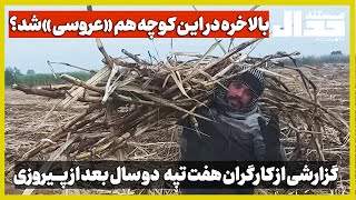 بالاخره در این کوچه هم «عروسی» شد؟