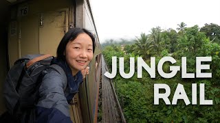 Taking the JUNGLE RAILWAY across central Malaysia (and experiencing birdnest production) 中文字幕| EP32