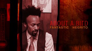 Video thumbnail of "Fantastic Negrito - About a Bird  (Official Audio)"