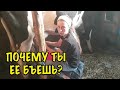 ОТДАЕМ КОРОВУ ОБРАТНО! Поигрались и хватит. Влог про жизнь в деревне.