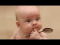 Daily dose of Cutest and Funniest Baby Videos that is enough to make you Laugh