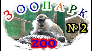█ Мама МАРТЫШКА ОХРАНЯЕТ ДЕТЕНЫША / ЗООПАРК / ZOO...