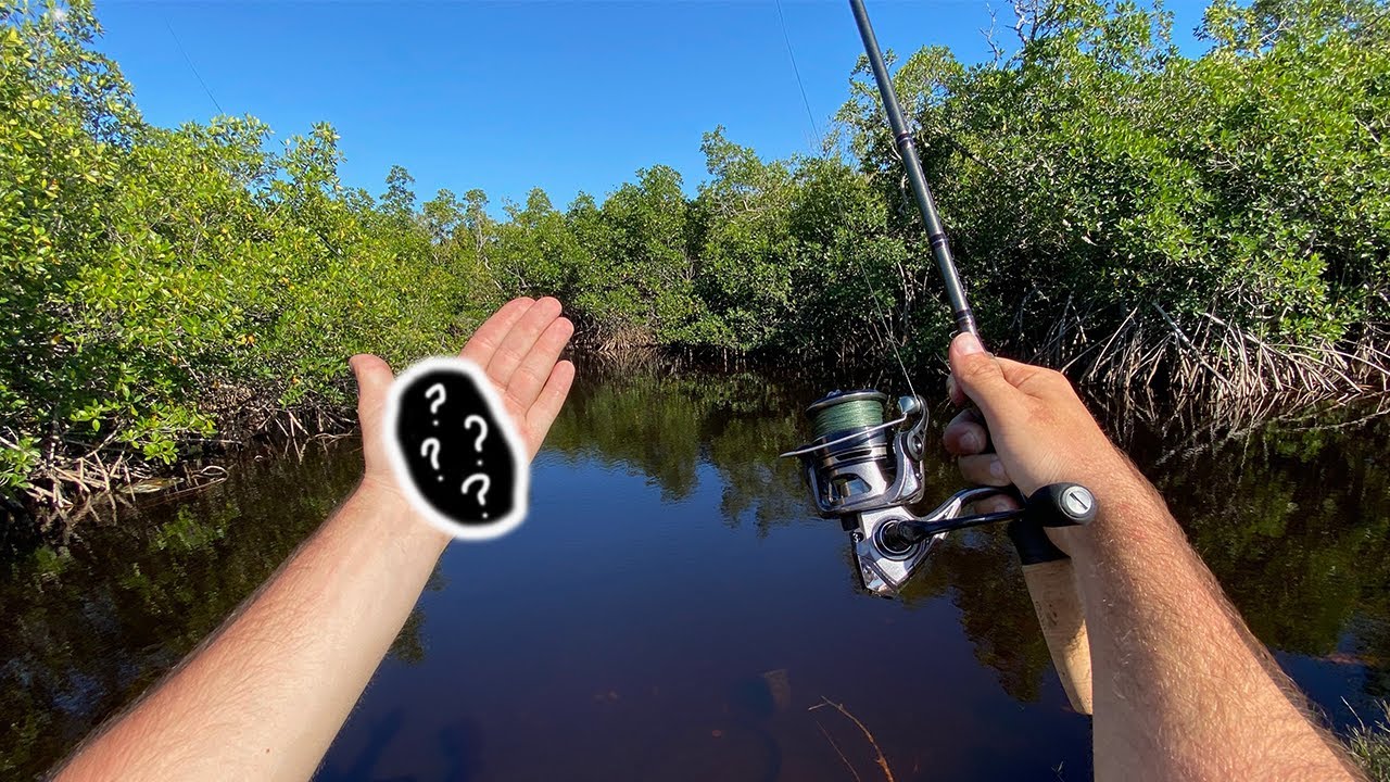 Backwater Creek Fishing for MONSTER FISH!!