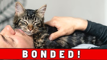 Do This and Your Cat Will Start Loving Sleeping with You