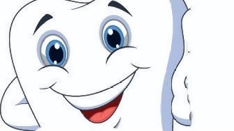 Class4 Chapter 2 (part1) Teeth And Digestive System