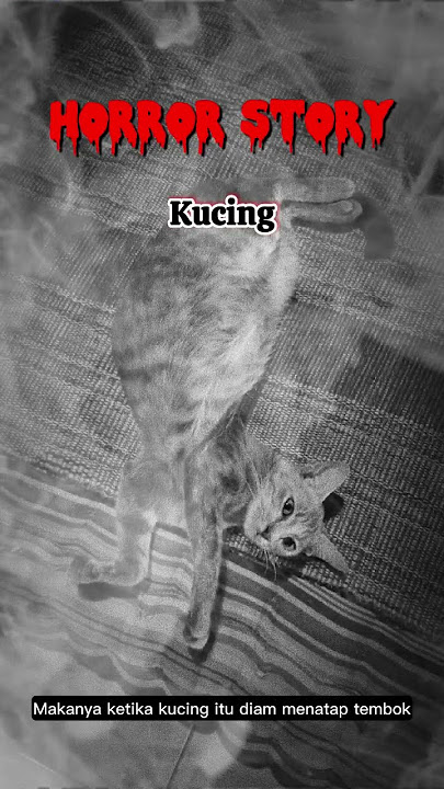 Kisah Seram Kucing #shorts #creepypasta