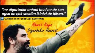 Ahmet Kaya   Diyarbakır Hasreti Resimi