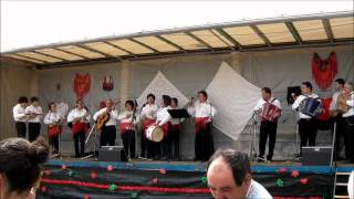 Video voorbeeld van "Ao Passar a Ribeirinha - Grupo de Música Popular da Feitosa"